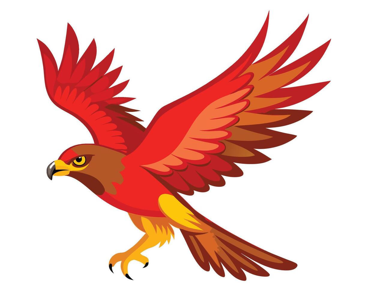 a red tailed hawk soaring high with its broad wings vector