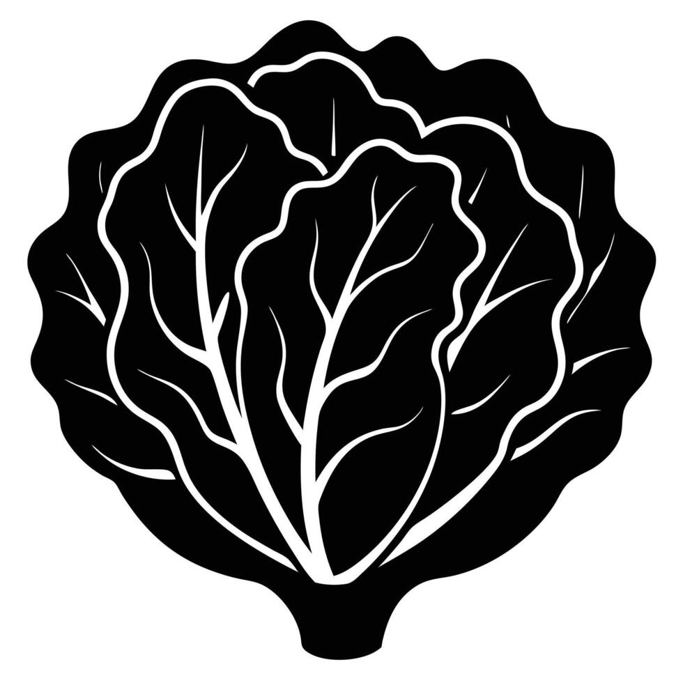 a head of lettuce with curled smooth leaves vector
