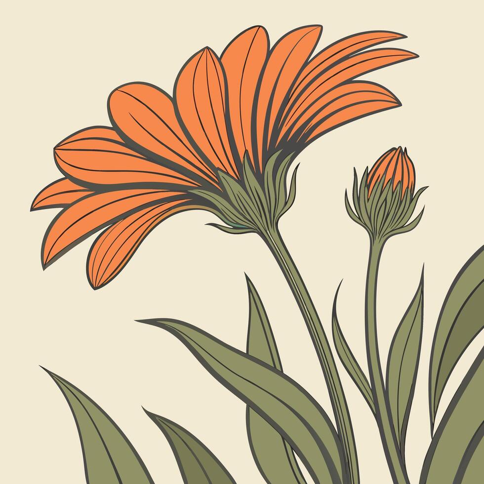 Brilliant Orange Marigold with Broad Petals vector
