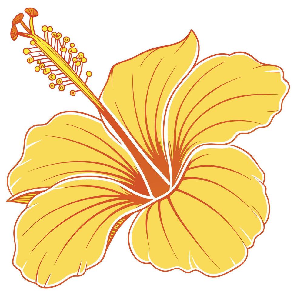 Bright Yellow Hibiscus with Wide Bold Petals vector