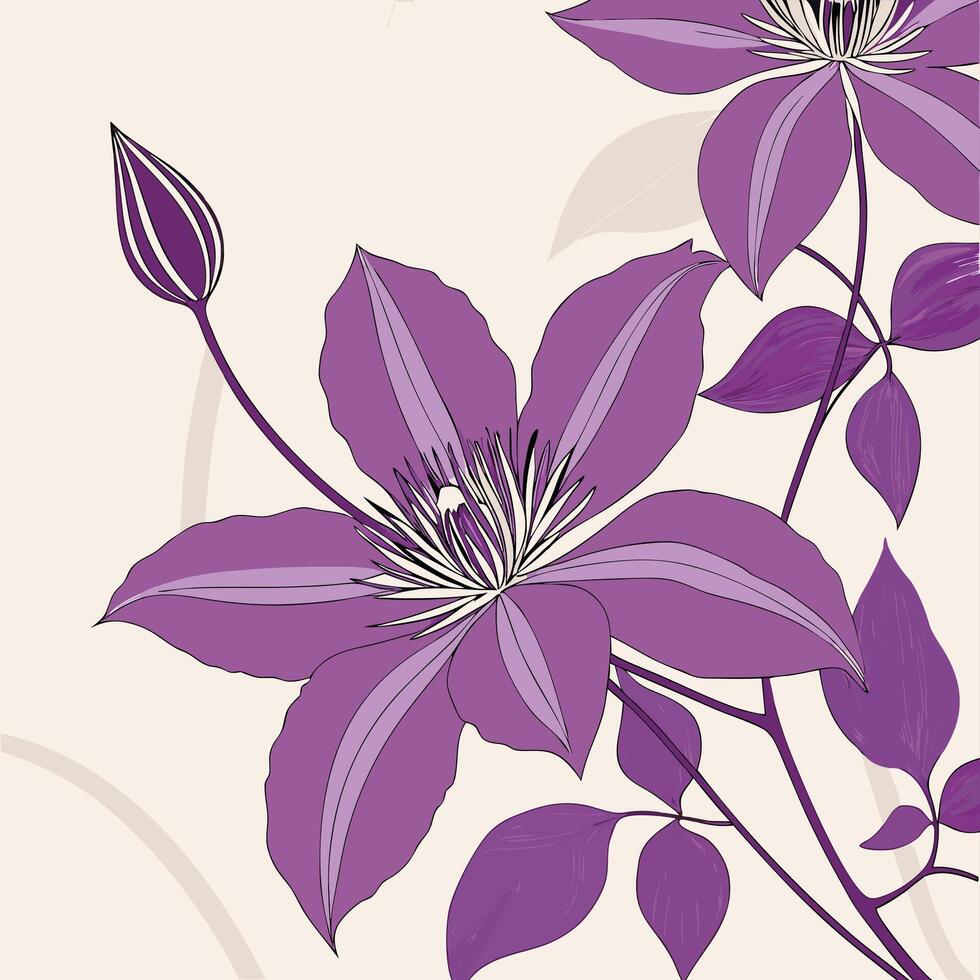 Beautiful Purple Clematis with Fine Pointy Petals vector