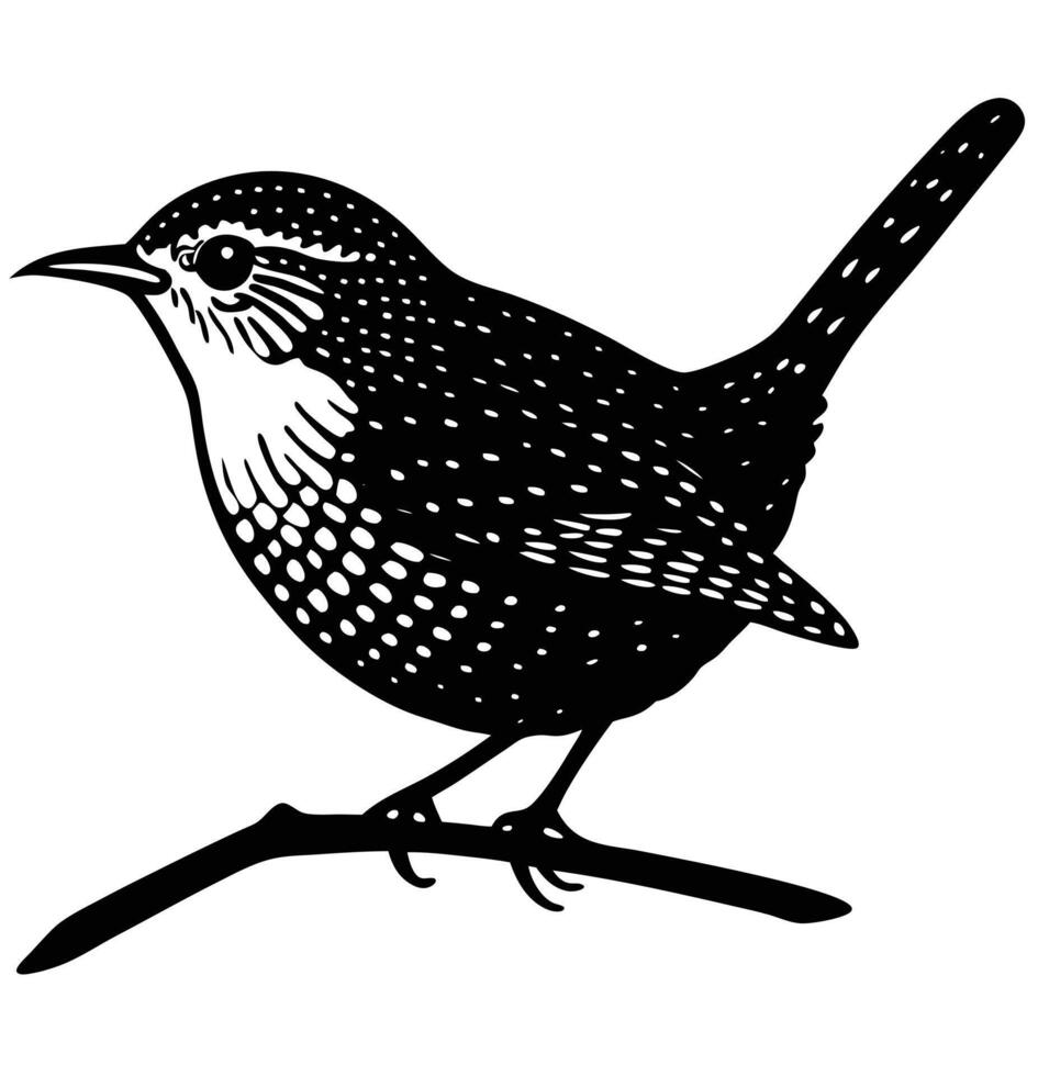 a wren perched on a branch looking curious vector
