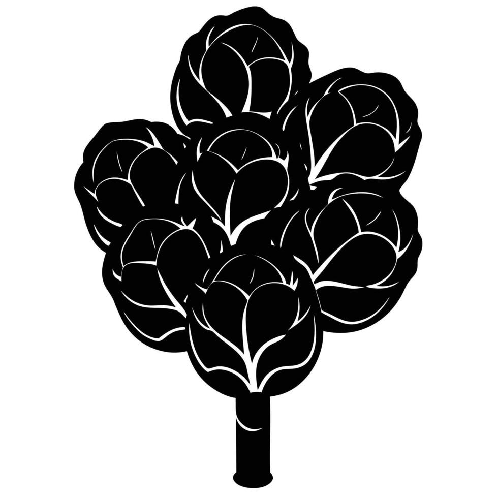a cluster of brussels sprouts attached to a thick stalk vector