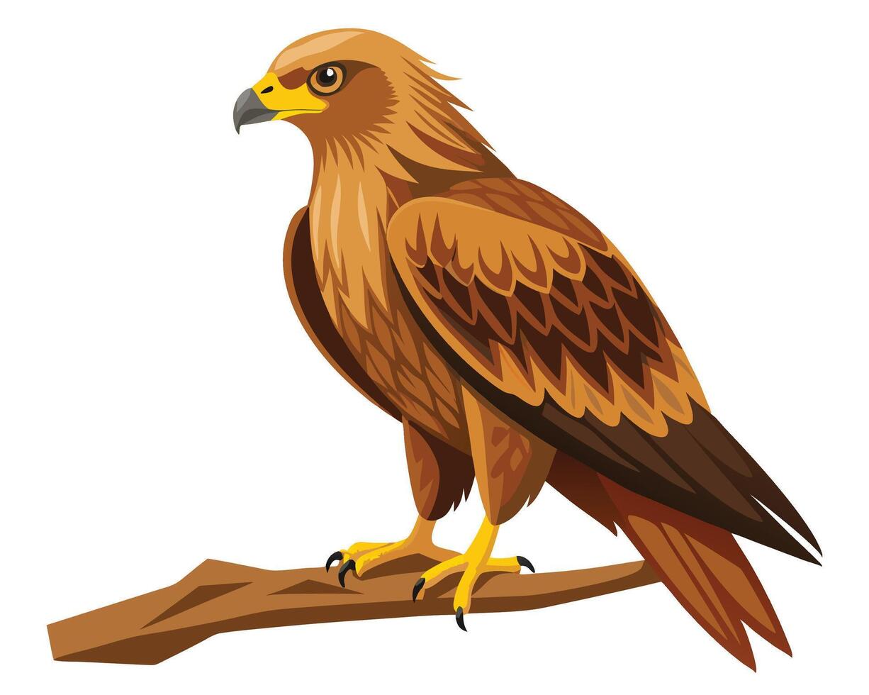 a tawny eagle with its golden brown feathers and sharp eyes vector