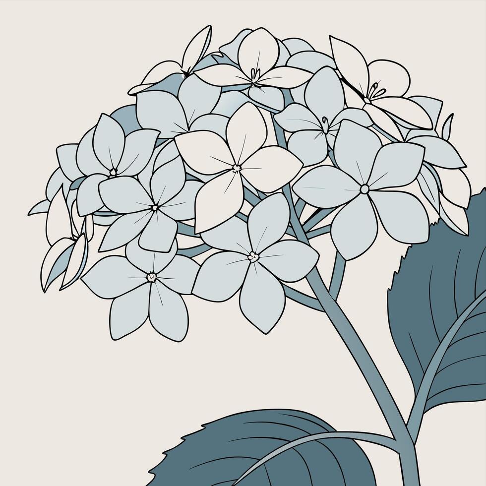 Pale Blue Hydrangea with Delicate Soft Petals vector