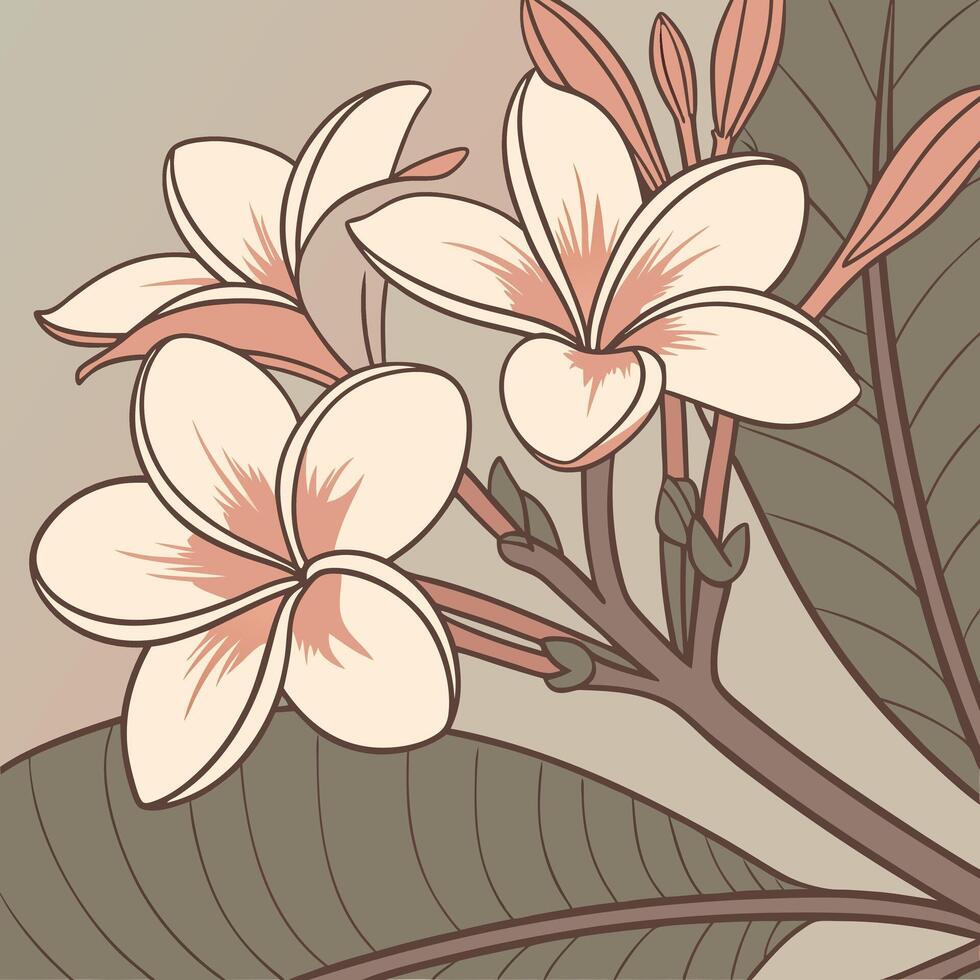 Delicate Peach Begonia with Overlapping Petals vector