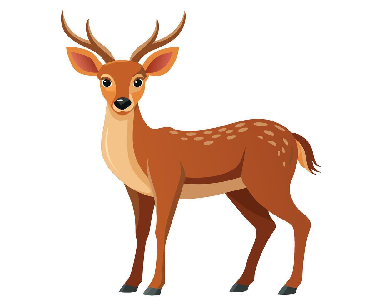 deer with soft brown fur and antlers standing vector