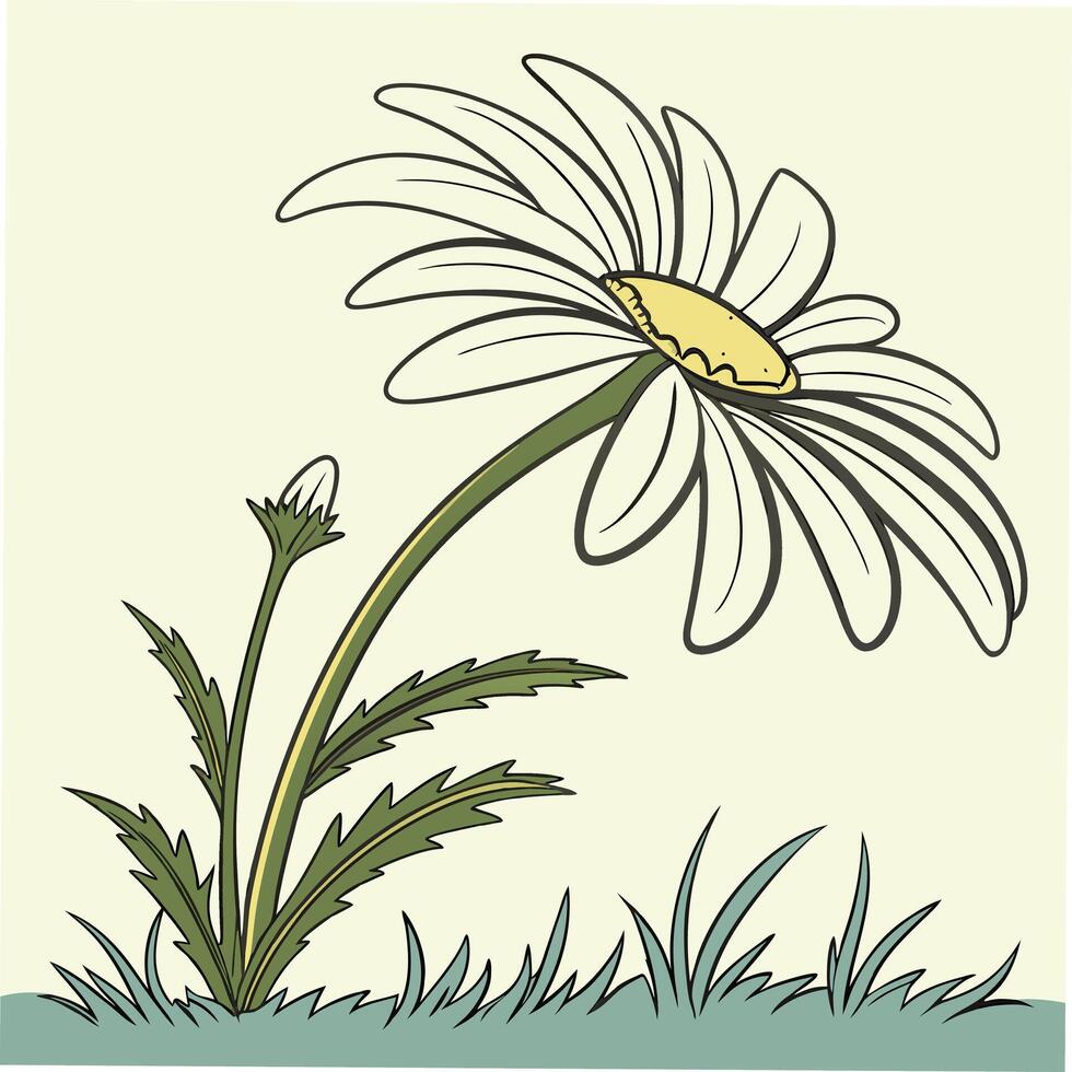 Clean White Daisy with Soft Yellow Center vector