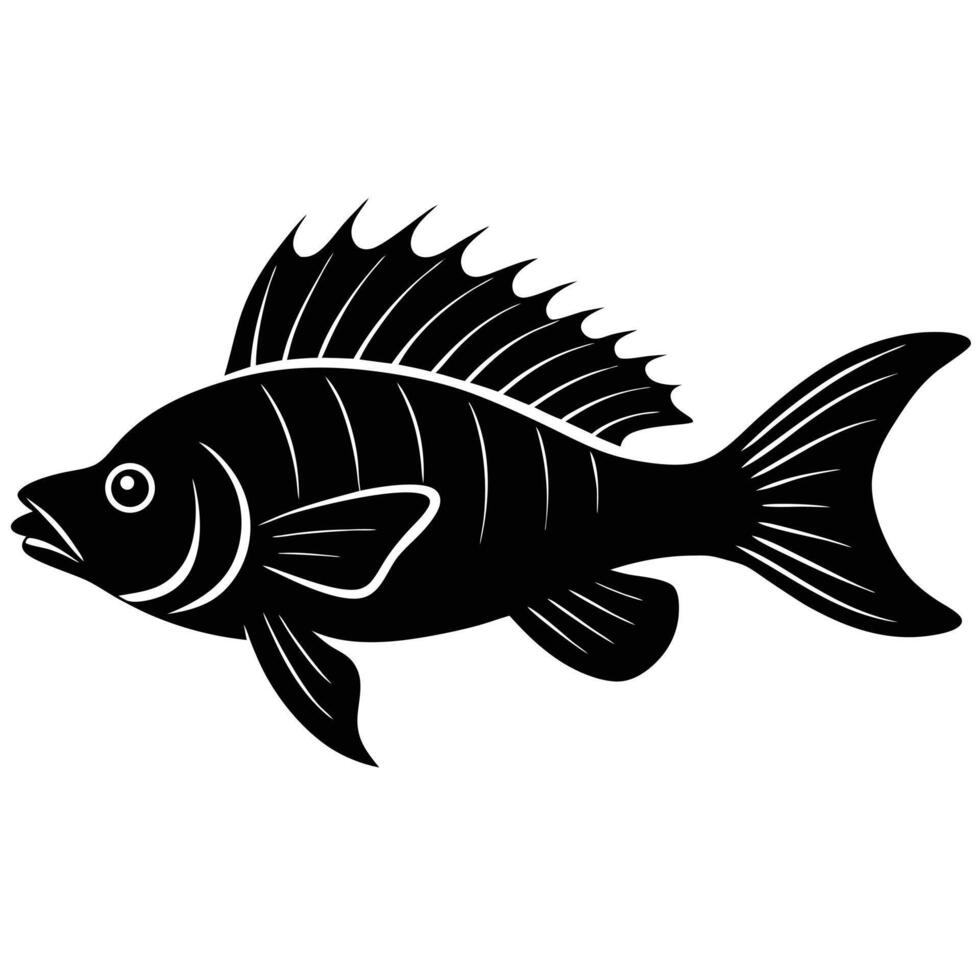 a silhouette of a perch with its long dorsal fins vector