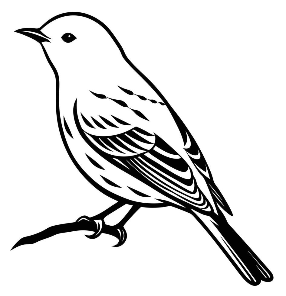 a yellow warbler perched delicately on a branch vector