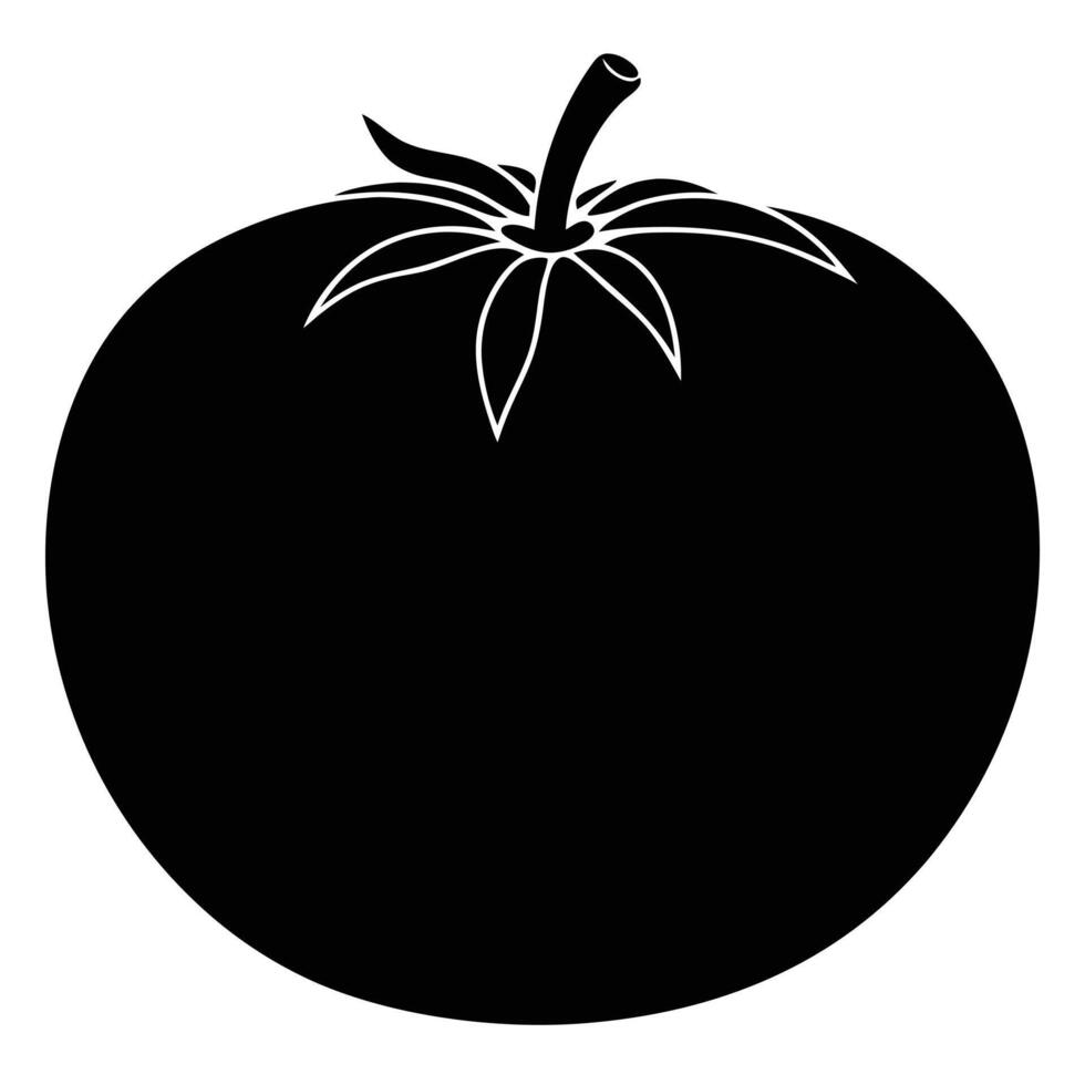 a plump round tomato with a small stem at the top vector