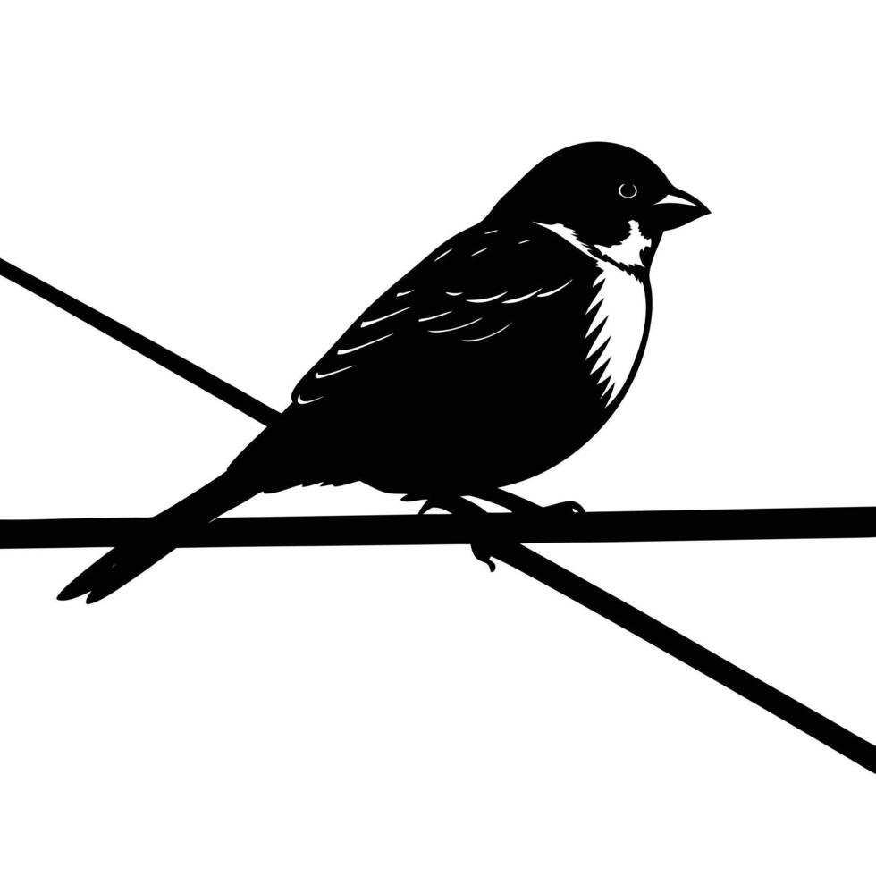 a small sparrow perched on a wire vector