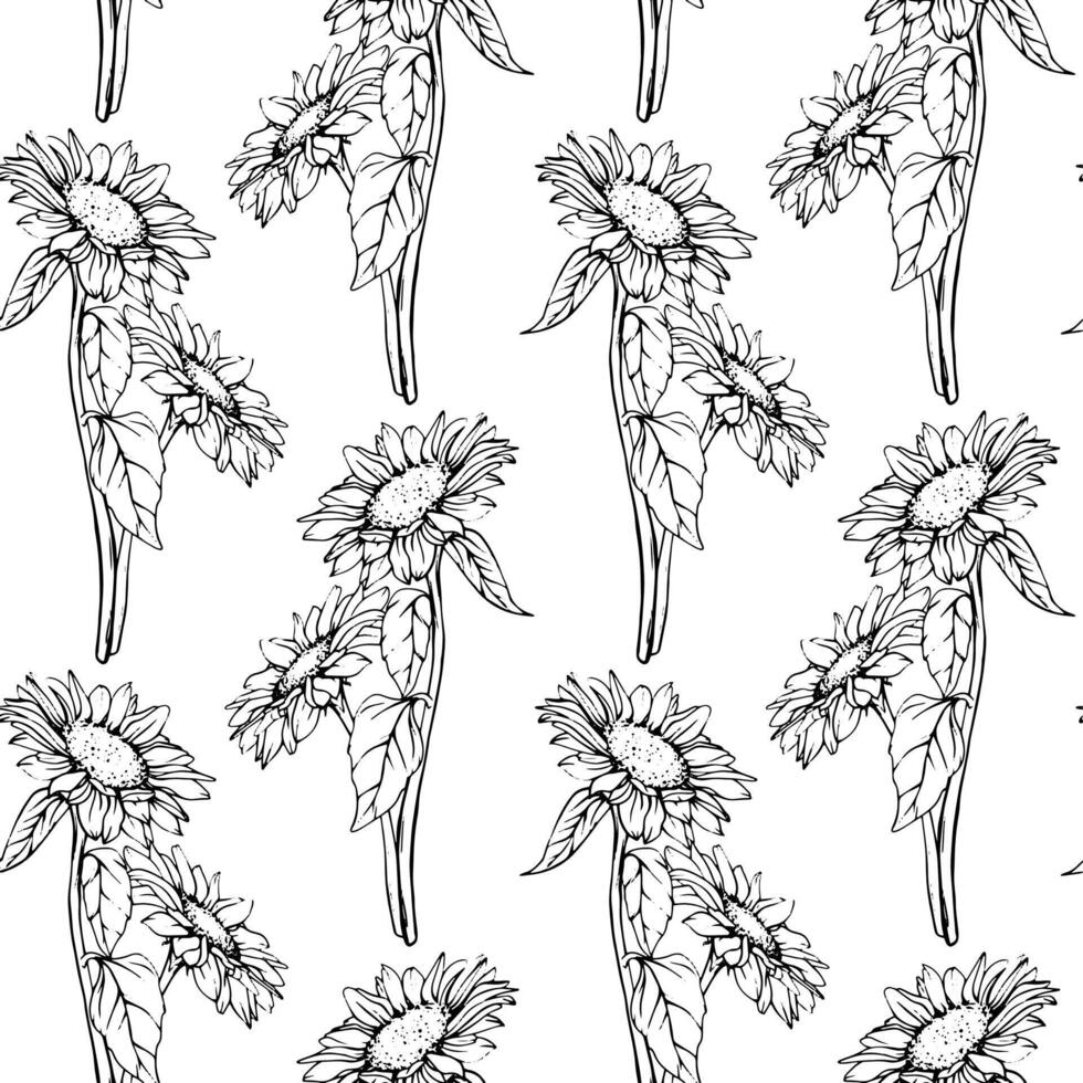 Seamless Pattern with Flowers Sunflowers in line art style. Autumn ornament with chamomile painted by black inks. Hand Drawn engraving Bouquet of daisies. Sketch outline vector