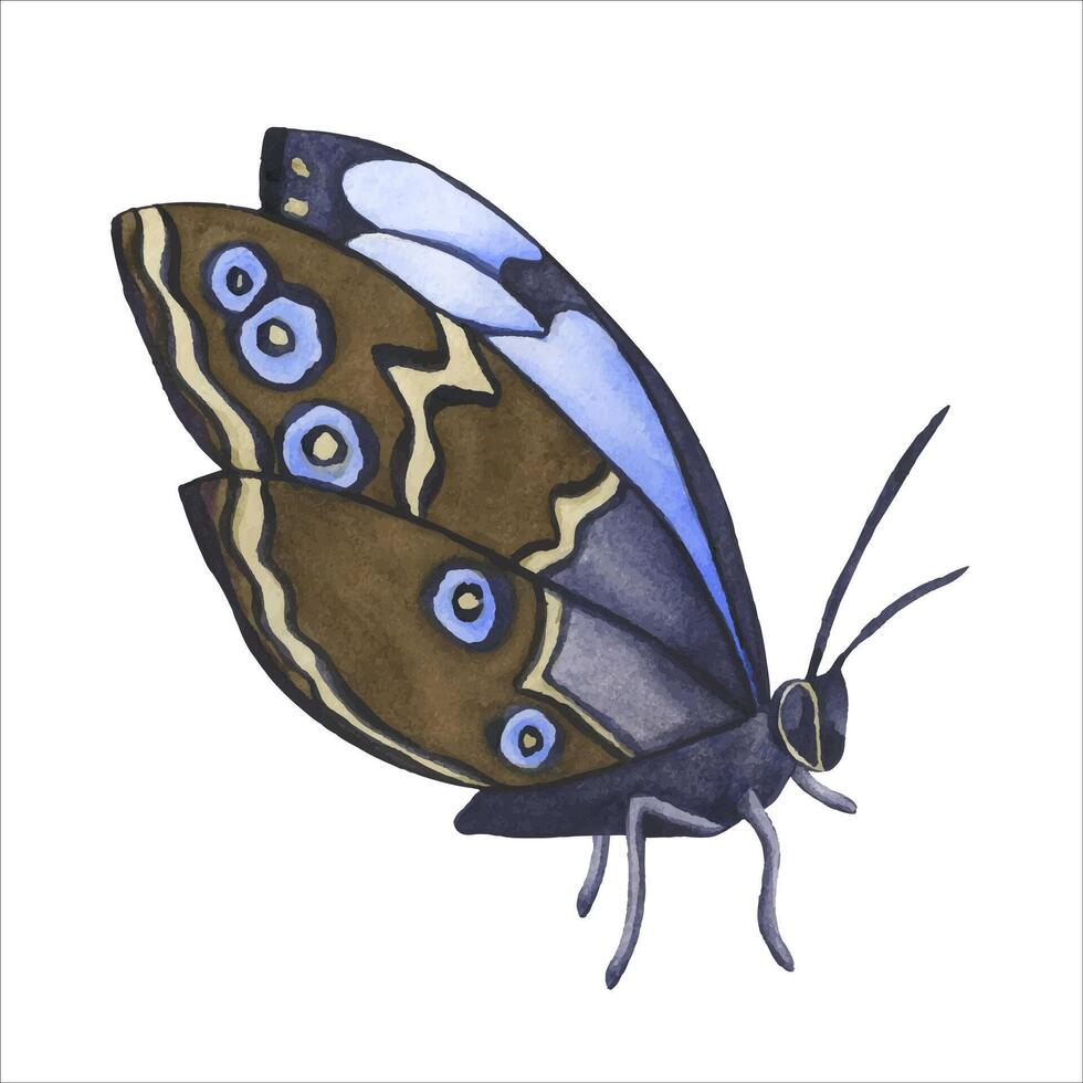 Watercolor Butterfly isolated on transparent background. Hand draw Watercolor illustration Blue Morpho Butterfly. Blue tropical butterflies for wedding invitation, and card vector