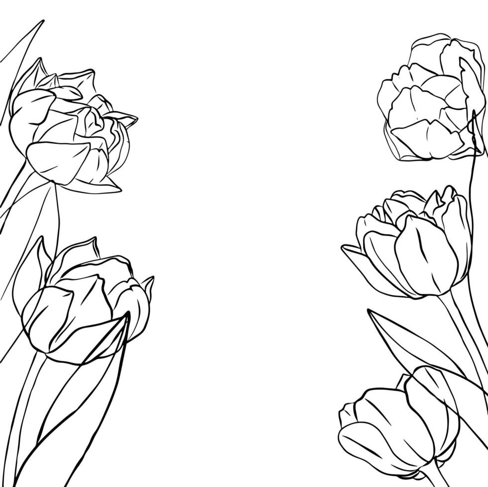 Tulip silhouette of beautiful spring flowers design. Trendy botanical elements. Hand drawn line leaves and blooming. Wedding wildflowers for invitation save the date card vector