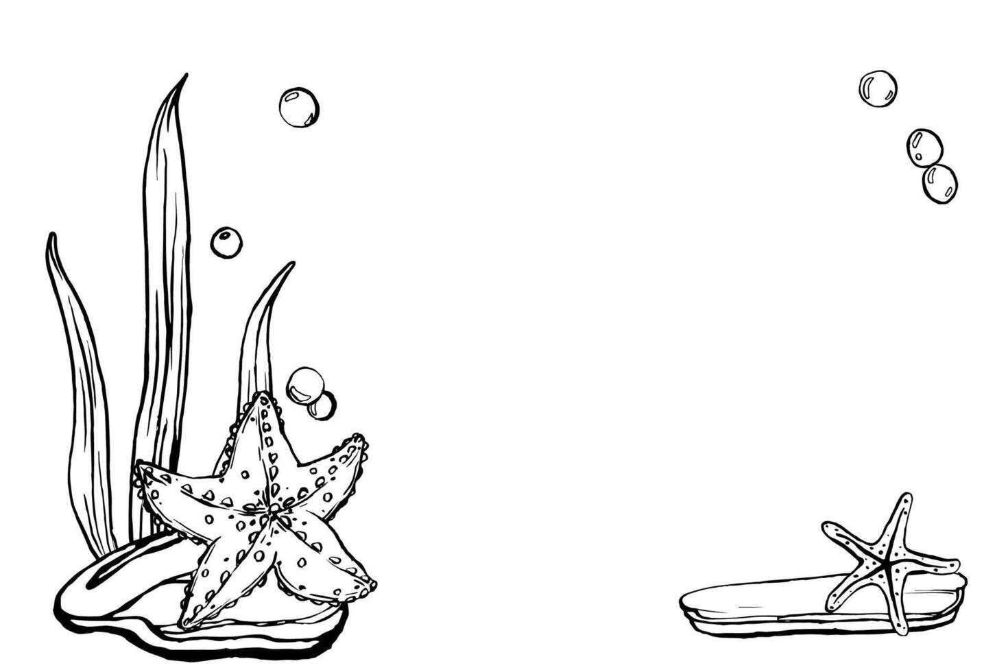 starfish illustrations. Seabed landscape design template drawing in line art style. Sketch of sea creatures. algae, corals, seashells, sea mollusks, scallop painted by black inks. Marine art vector