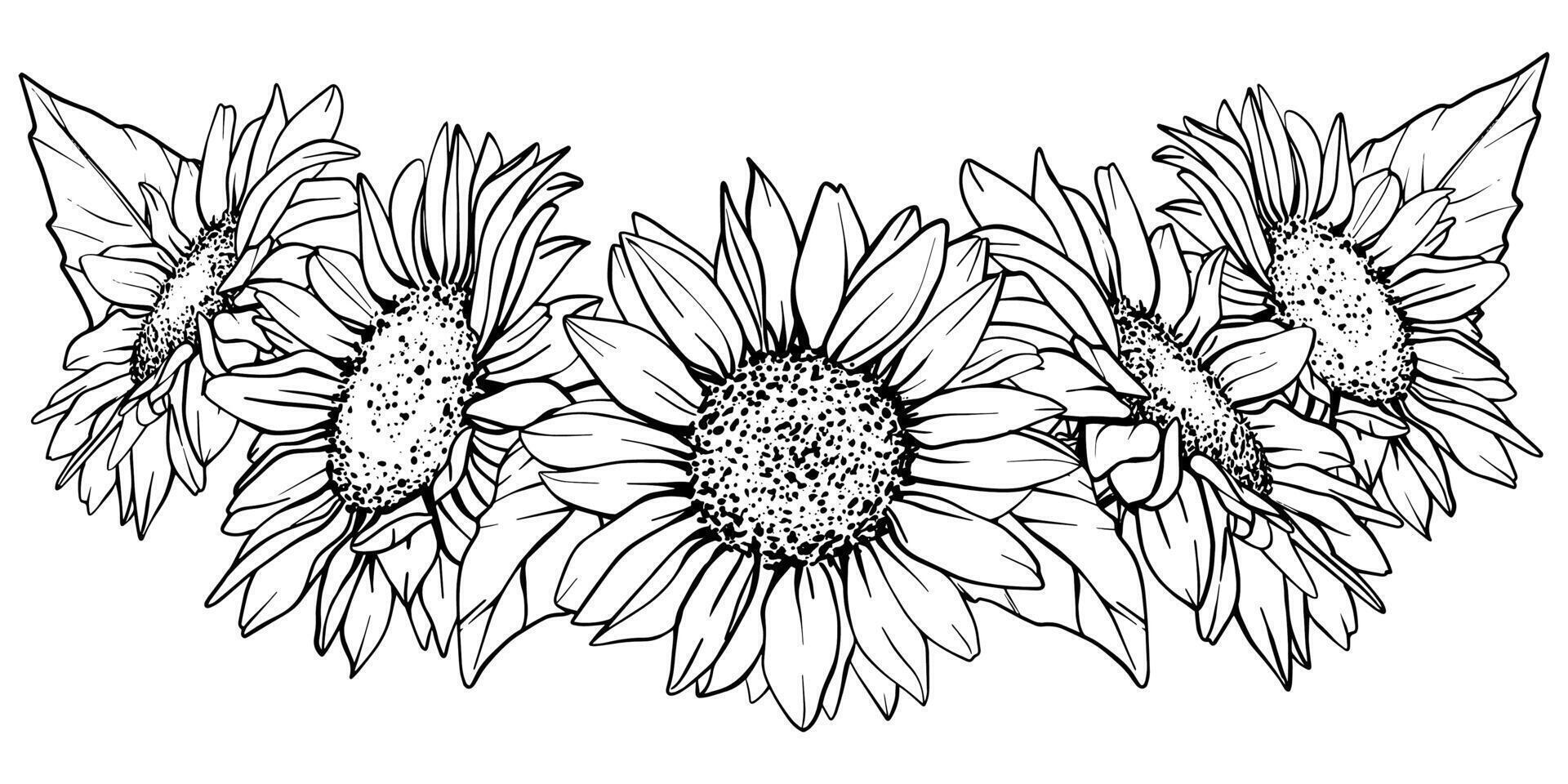 Sunflower illustration. Flower arrangement drawing in line art style. Botanical sketch of chamomile painted by black inks. Hand Drawn Bouquet of daisies. Graphics element outline vector