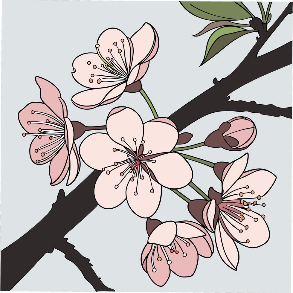 Realistic Cherry Blossom Illustration vector
