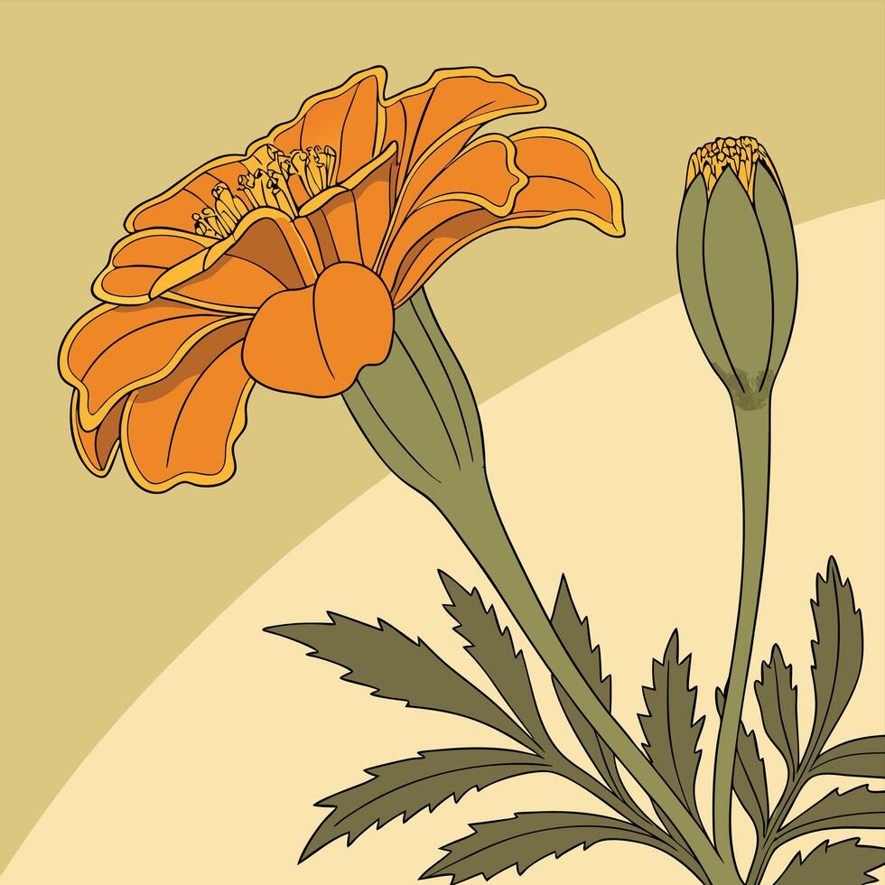 Bright Orange Marigold with Wide Textured Petals vector