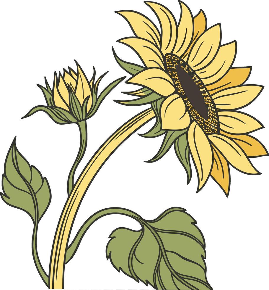Single Sunflower with Large Center and Vibrant Petals vector