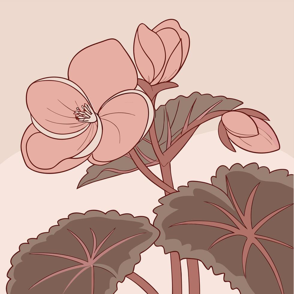 Gentle Pink Begonia with Smooth Soft Petals vector