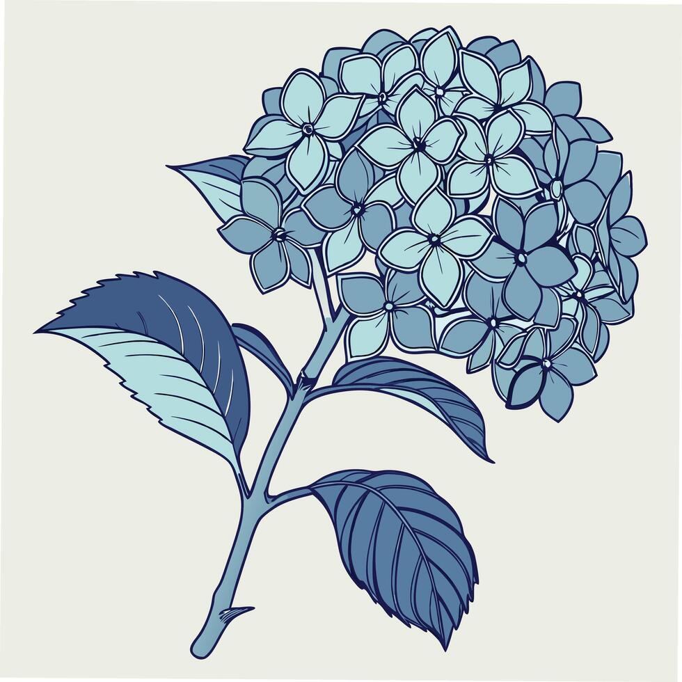 Fresh Blue Hydrangea with Densely Packed Petals vector