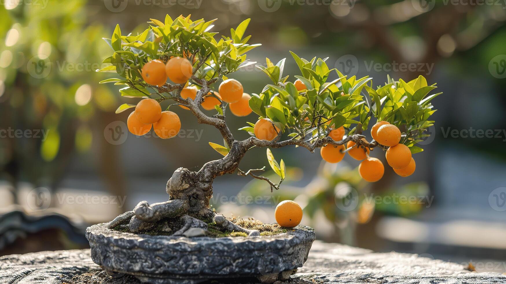 Orange Bonsai Tree with Bright Fruits in Natural Outdoor Setting photo