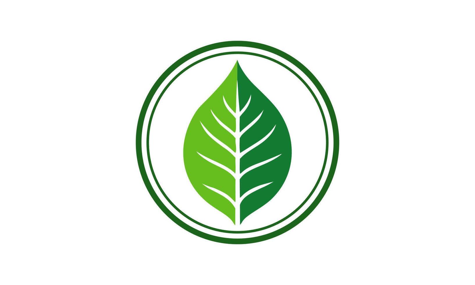 Attractive Leaf Logo Design Template vector