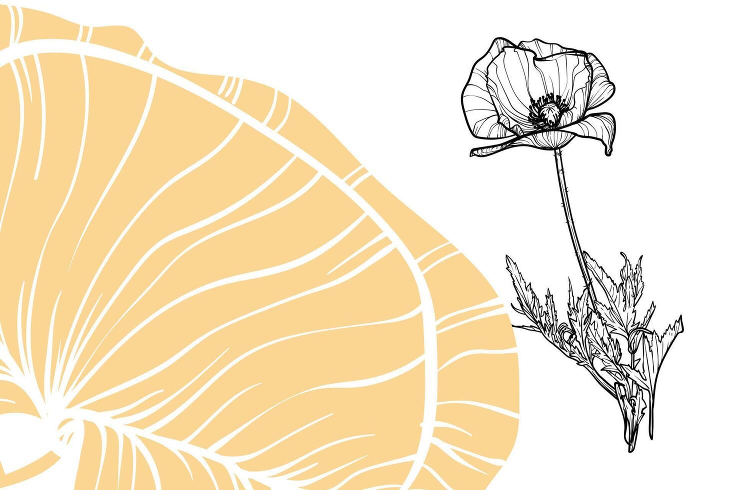 poppy flowers, format, hand drawn outline. Easy to edit, ready to use. A mix between a yellow and a black flower on a white background. vector