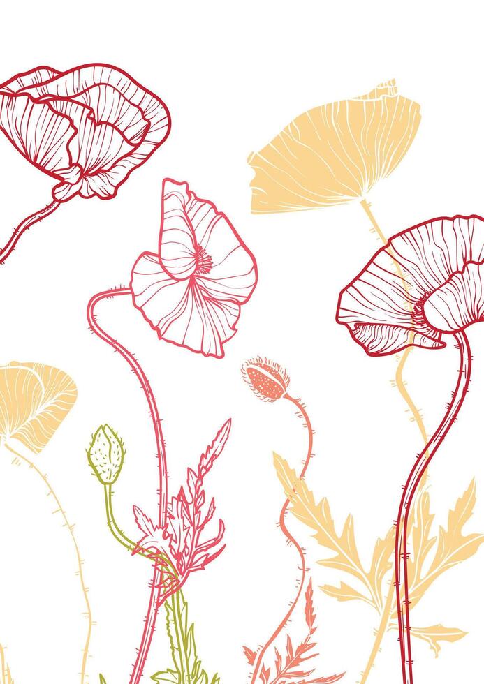 A4, A3, poppy bouquet hand drawn illustration. Art print with elegant line art red and yellow summer flowers. Highly detailed and high quality graphic asset for online and print. vector