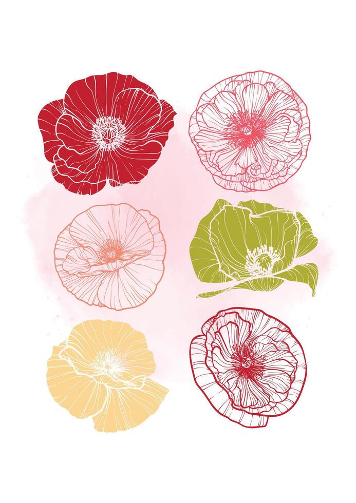 A4, A3, poppy bouquet hand drawn illustration. Art print with elegant black flower on a watercolor splatter. Highly detailed and high quality graphic asset for online and print. vector