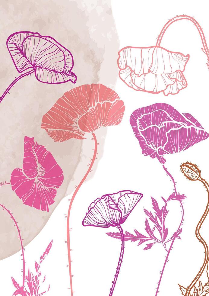 A4, A3, poppy bouquet hand drawn illustration. Art print with elegant pink flowers on a beige watercolor splatter. Highly detailed and high quality graphic asset for online and print. vector