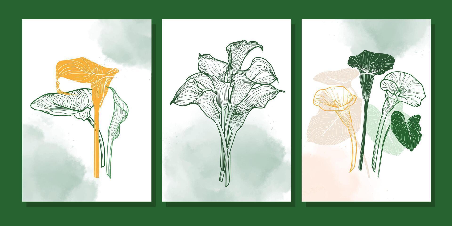 Elegant three green high resolution calla lily flowers posters in detailed line art with green watercolor backgrounds. Perfect for botanical prints, wall decor, summer inspired digital designs. vector