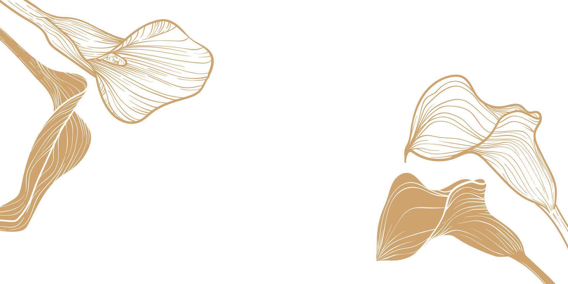Abstract floral background with golden line art calla lilies. Hand drawn calla lily banner with flower frame, border. design of card, banner, invitation, advertising and packaging vector