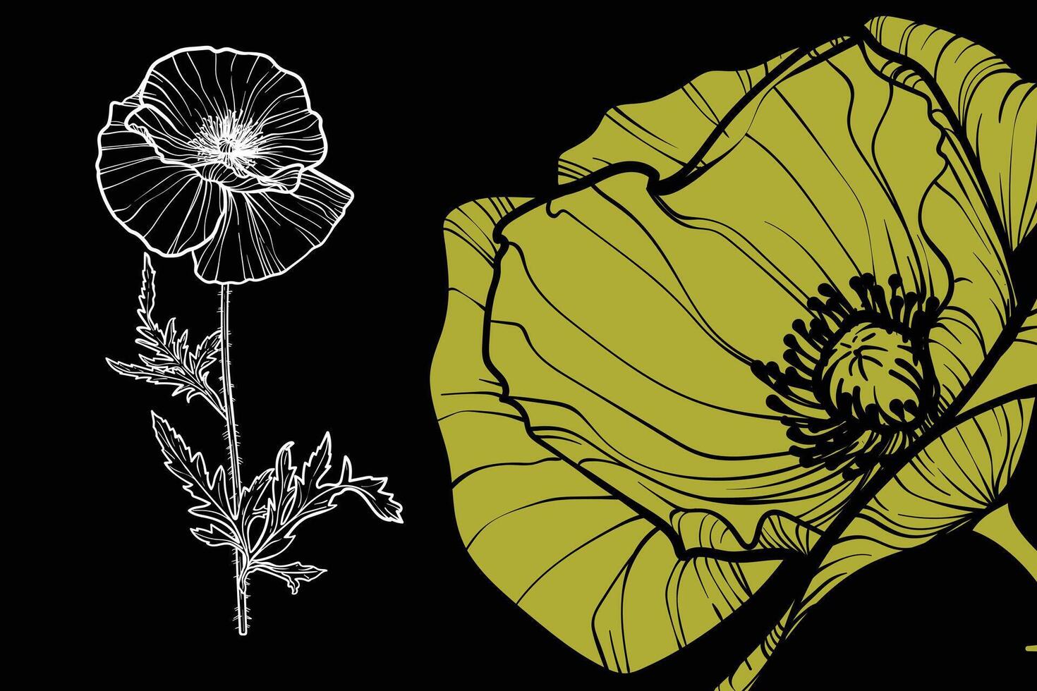 Poppy flowers, format, hand drawn outline. Easy to edit, ready to use. A mix between a green and a white flower on a black background. vector