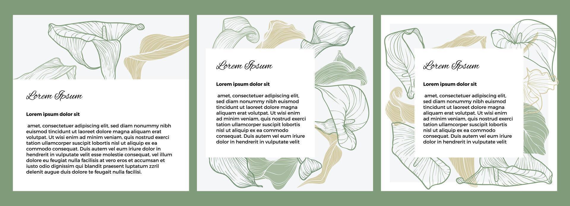 Minimalist social media post template featuring elegant Calla Lily line art with green and beige accents. Perfect for branding, announcements, or stylish floral content layouts. vector