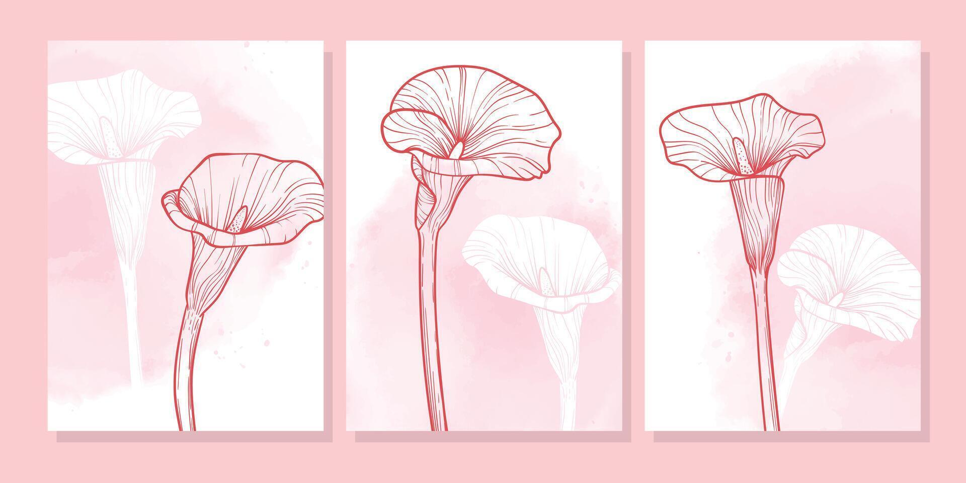 Elegant three high resolution calla lily flowers posters in detailed line art with pink watercolor backgrounds. Perfect for botanical prints, wall decor, summer inspired digital designs. vector