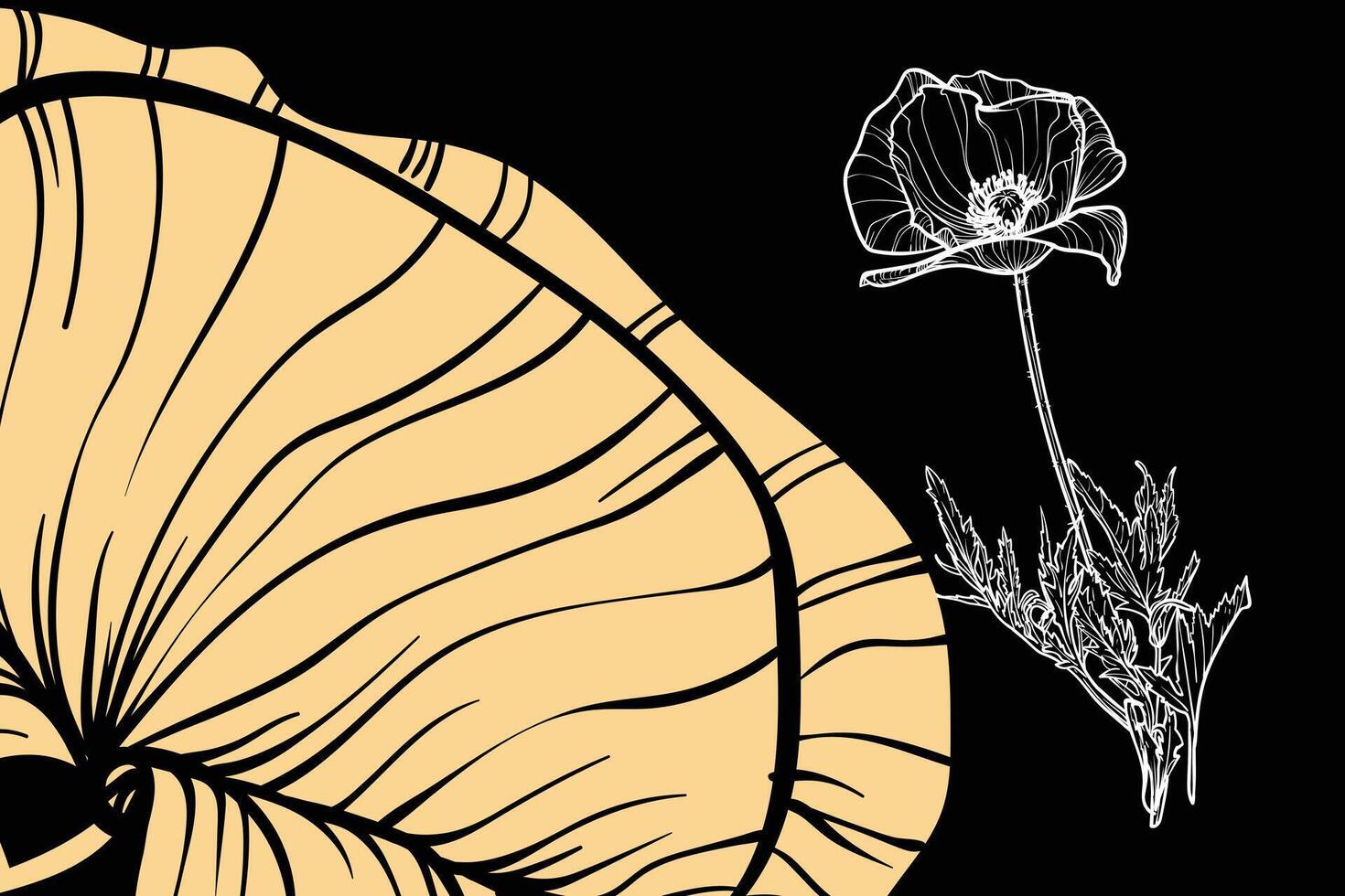poppy flowers, format, hand drawn outline. Easy to edit, ready to use. A mix between a yellow and a white flower on a black background. vector