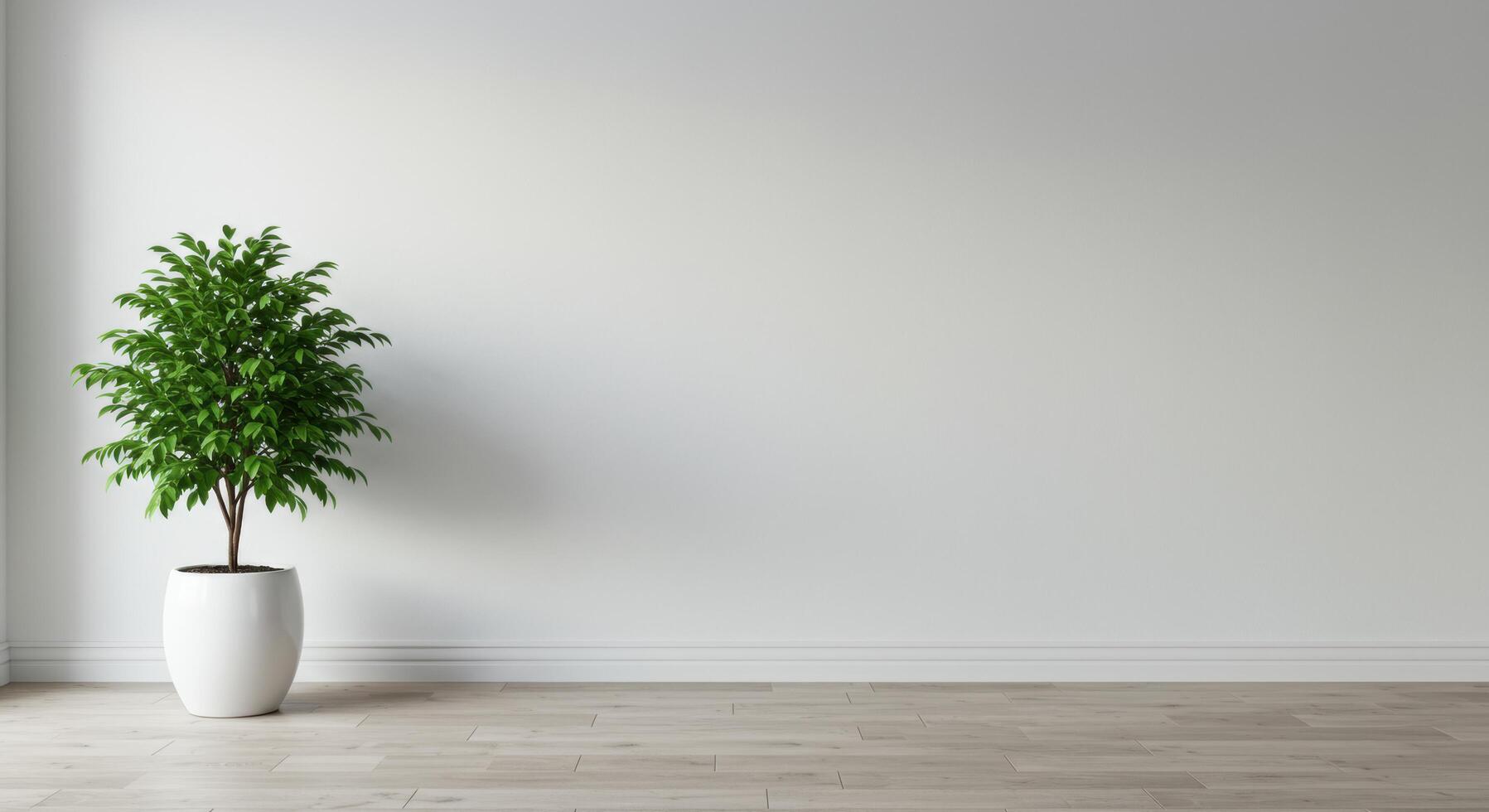 Aesthetic minimalist interior design featuring a ficus tree against a white wall photo