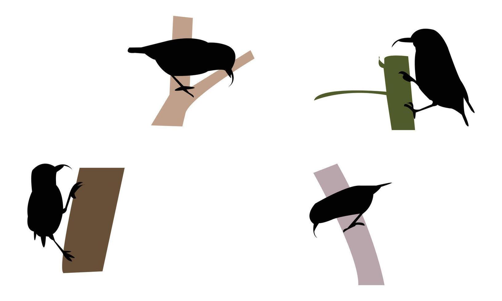 Akiapola au bird Silhouette Collection vector