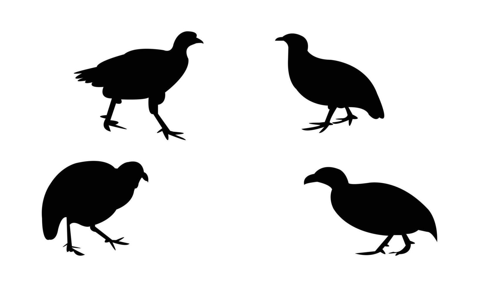 Ahanta spurfowl bird Silhouette Collection vector
