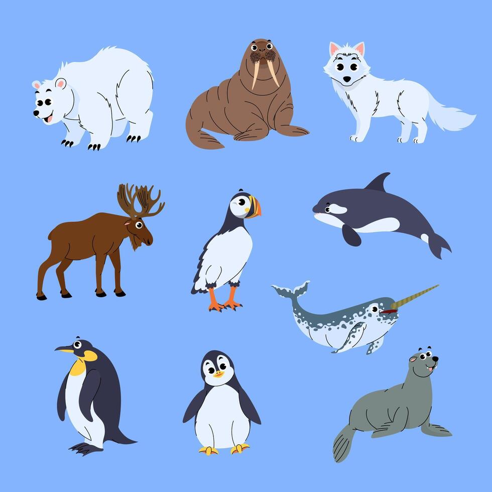 Polar Animals Collection Illustration vector