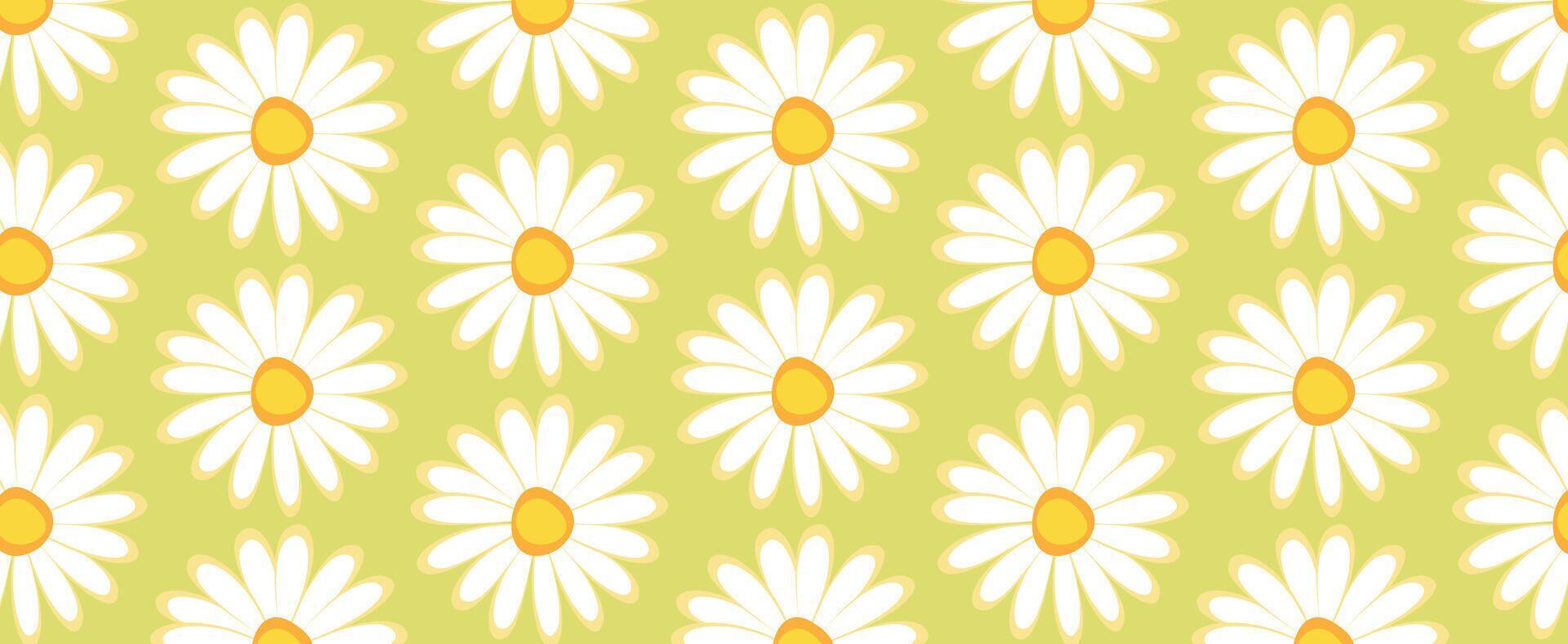 Pattern with daisies, white flowers on green background. vector