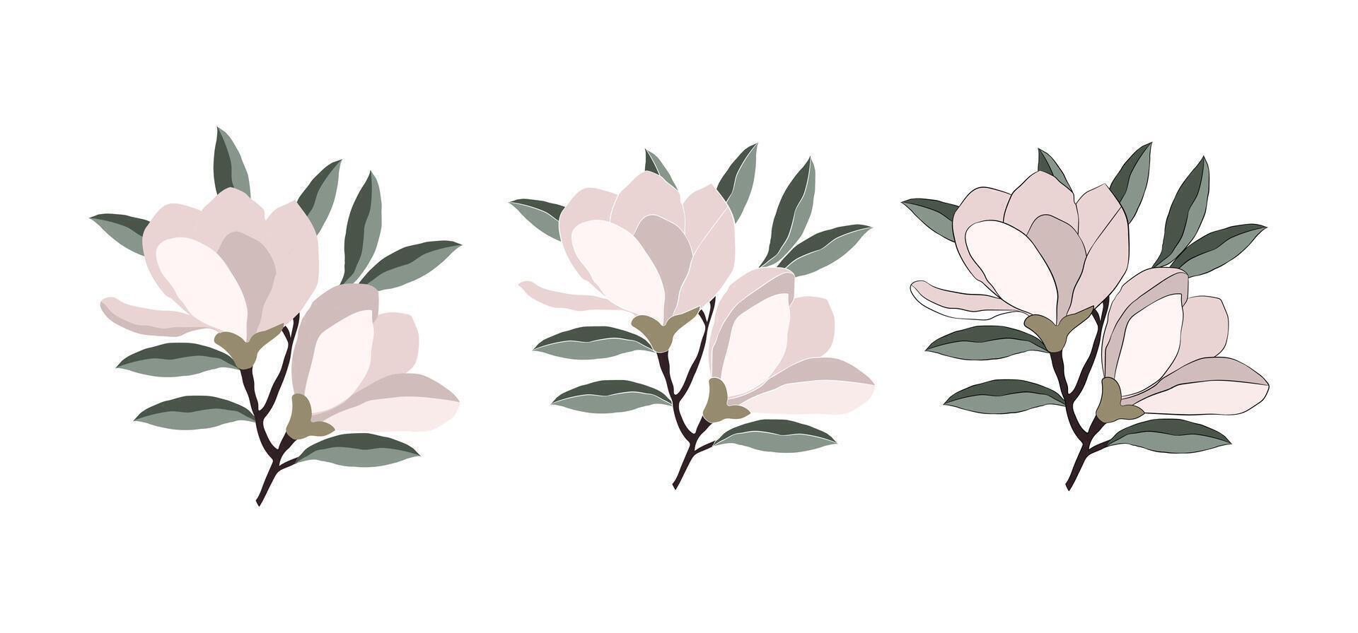 Minimalist Magnolia Flower Design, Magnolia Blossom Illustration vector