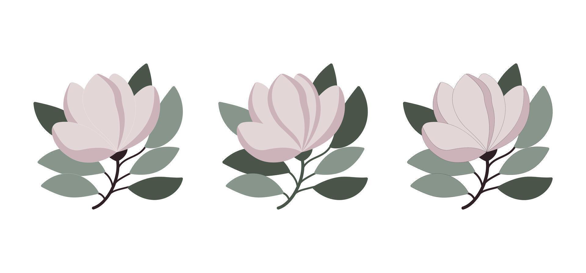 Minimalist Magnolia Flower Design, Magnolia Branch Blooms vector