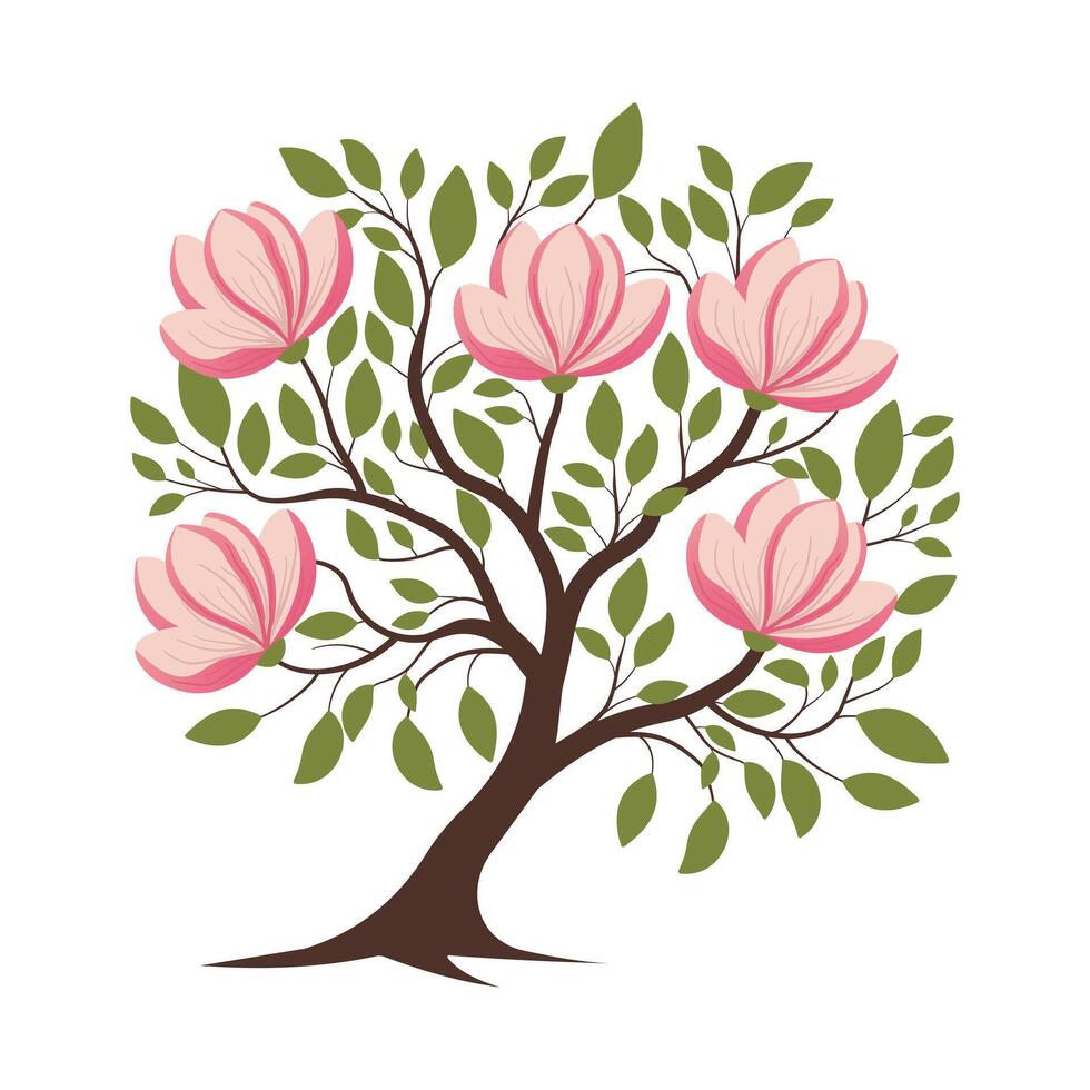 Magnolia Tree with Pink Flowers, Magnolia blossom tree vector