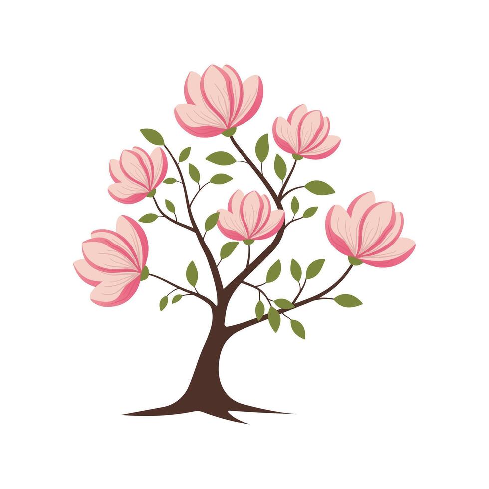 Magnolia Tree with Pink Flowers, Magnolia branch blooms vector