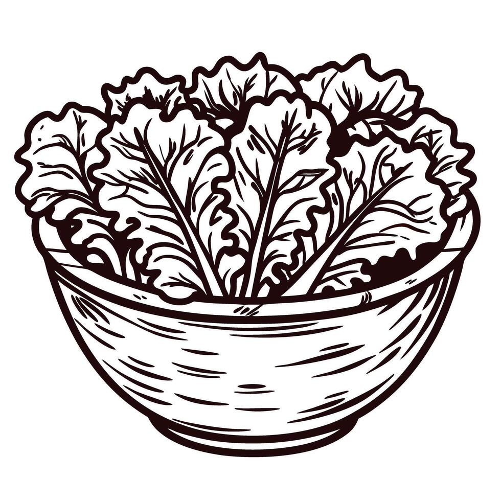 Hand drawn bowl of fresh leafy lettuce in rustic vector