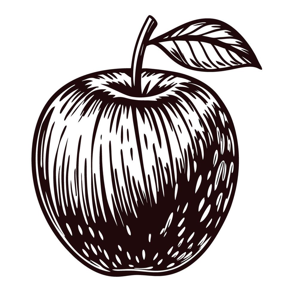 Detailed black and white of a textured apple with stem and leaf vector