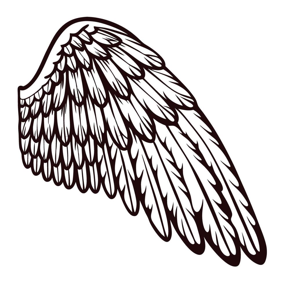 of an ornate bird wing design with detailed feathers vector